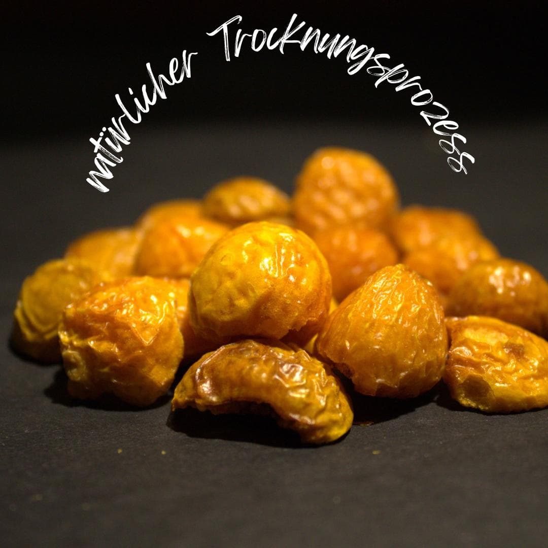 ORBIS Physalis Produkt