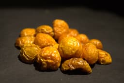 Physalis