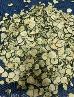 Zucchini
